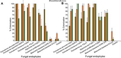 One stone for two birds: Endophytic fungi promote maize seedlings growth and negatively impact the life history parameters of the fall armyworm, Spodoptera frugiperda